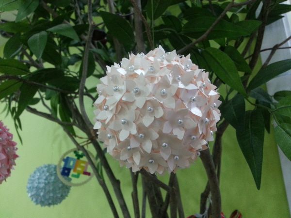 내 마음 꽃송이