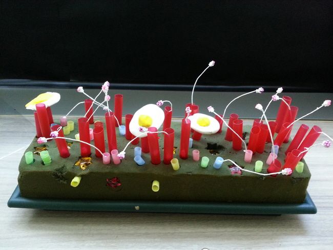 달걀 프라이 꽃