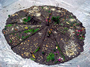 (click) 제 9회 사랑나눔캠프